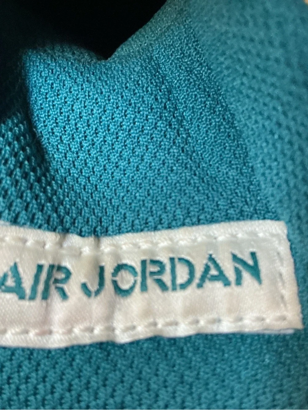 Jordan Sneakers in Teal with White Branding